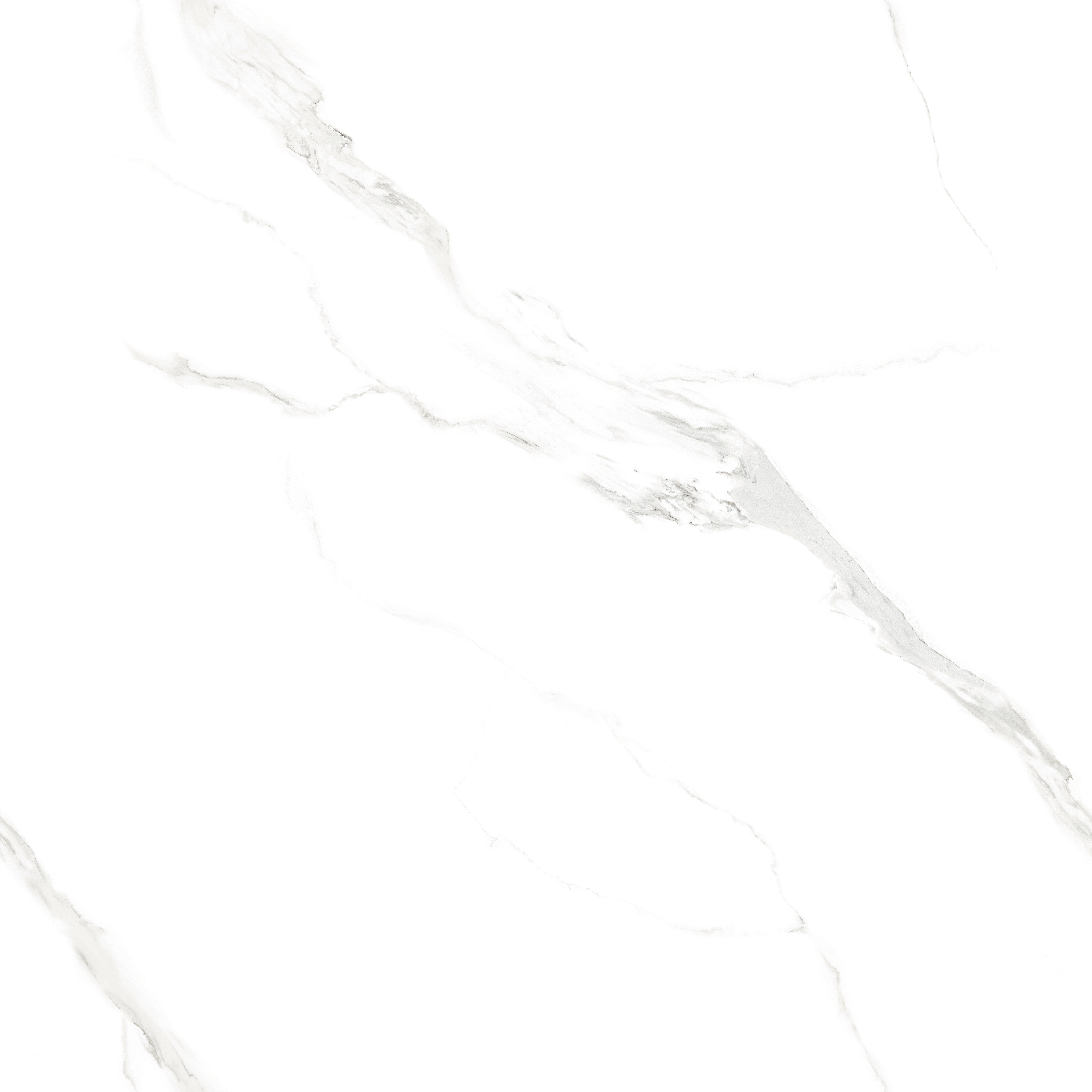 [連紋]FTB909022-W 南斯拉夫白