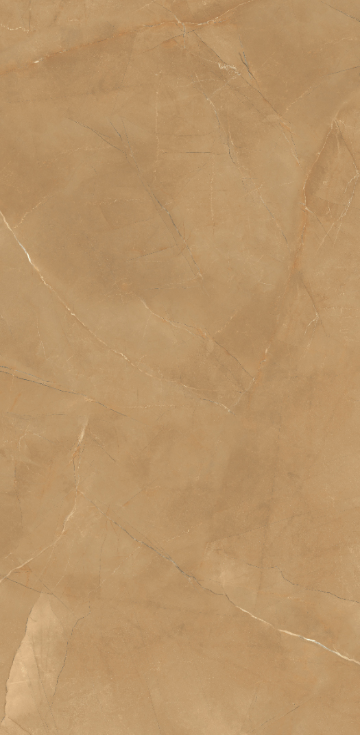 FTD12626-W金色年華