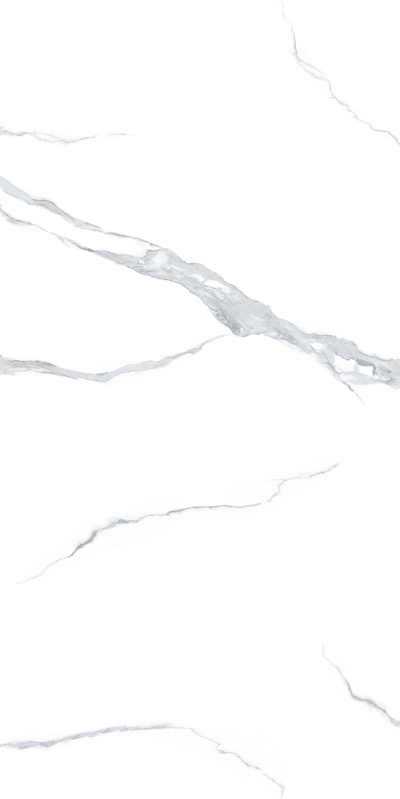 FYB122420-G 傲雪凌霜