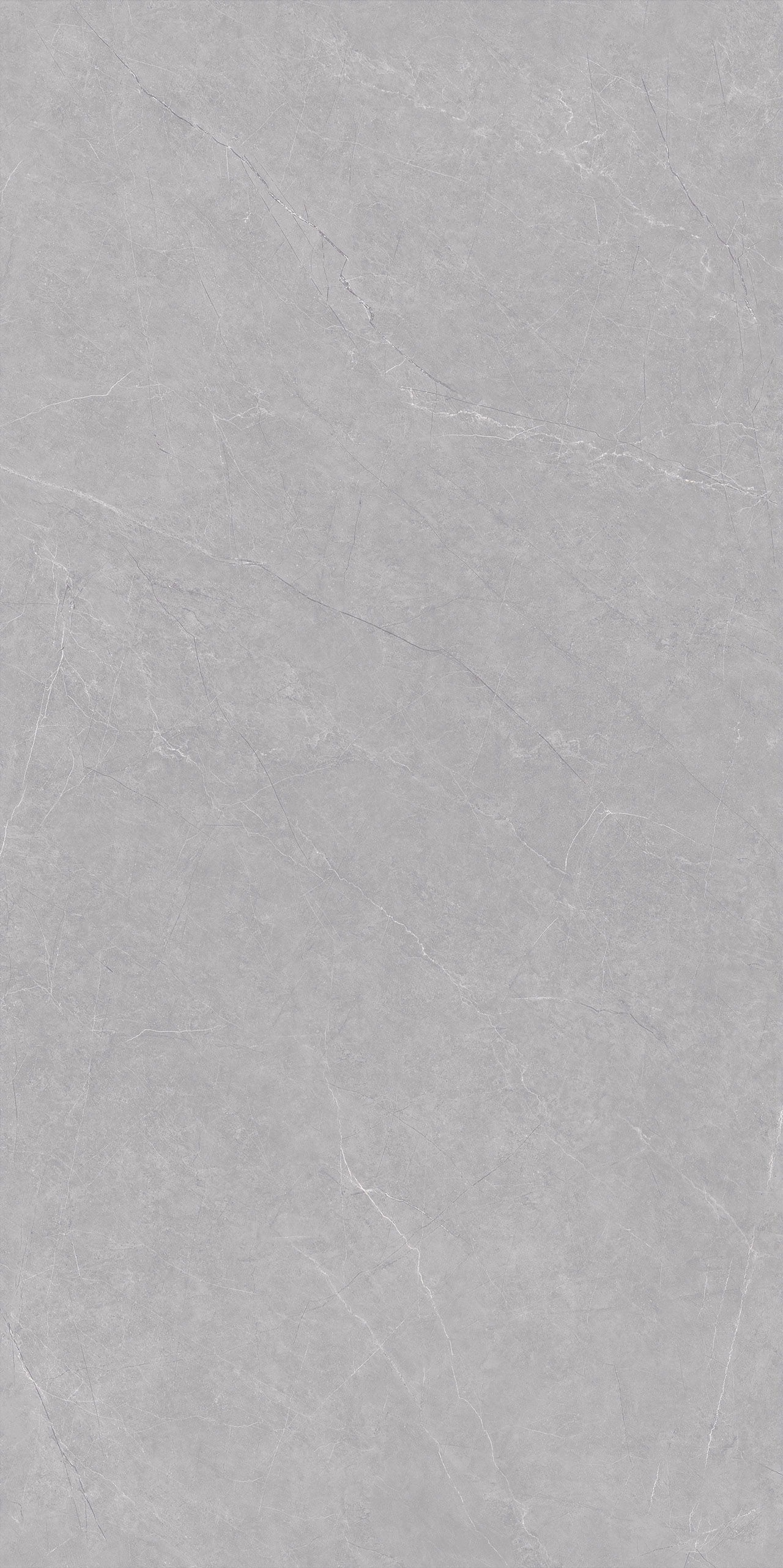 FTDB157607-W 康諾利中灰