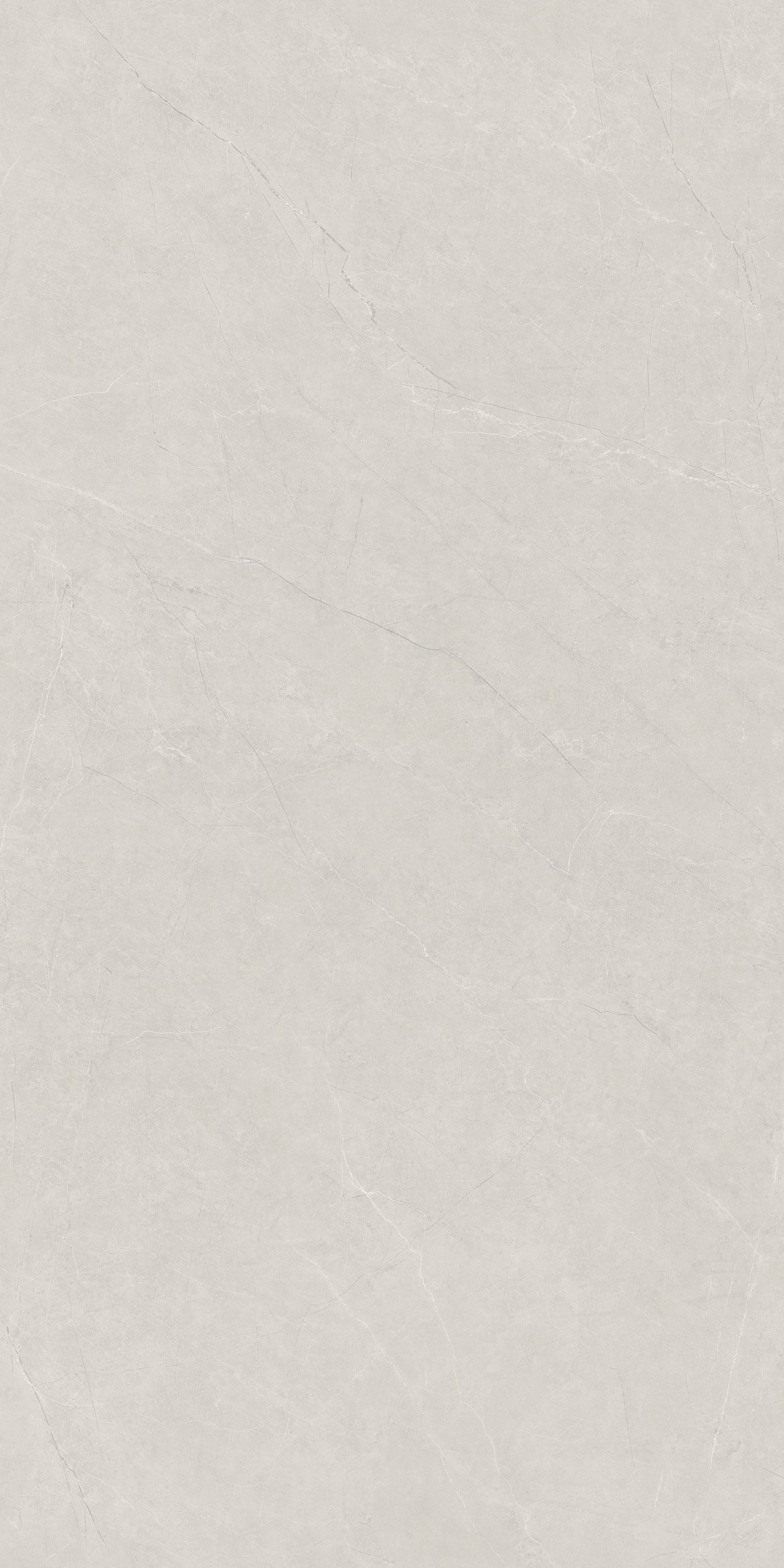 FTDB126606-W 康諾利米灰