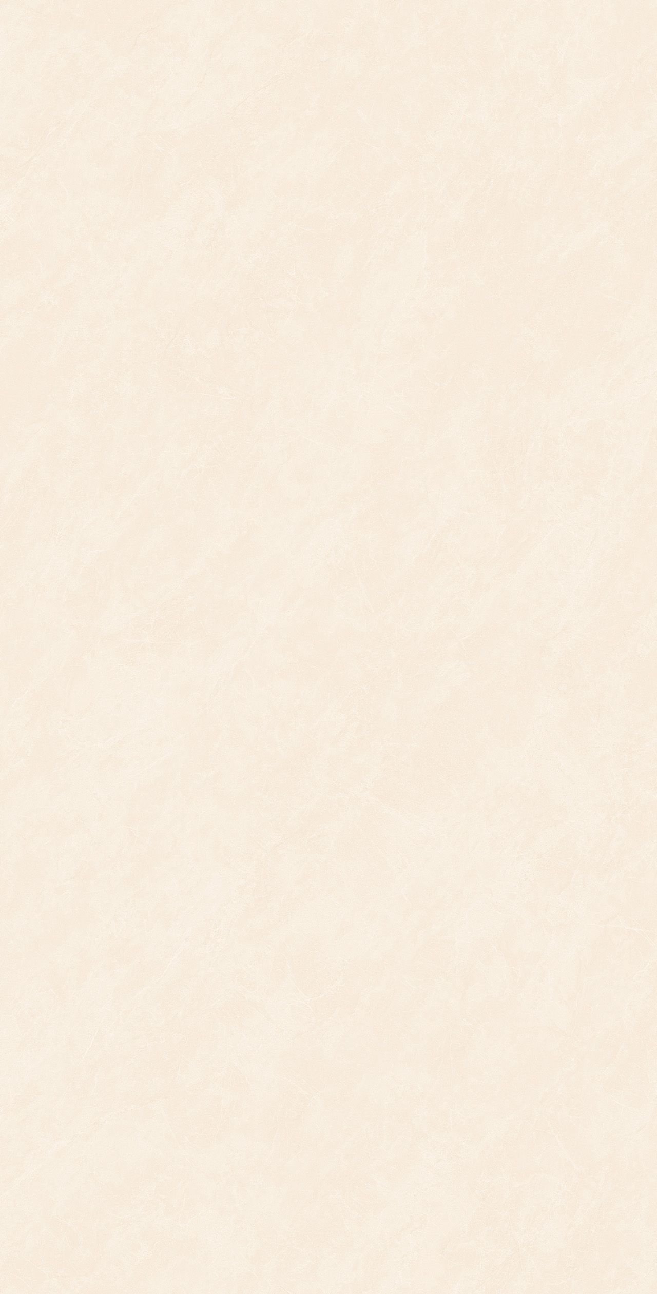 FTB12657-W 新莎安娜