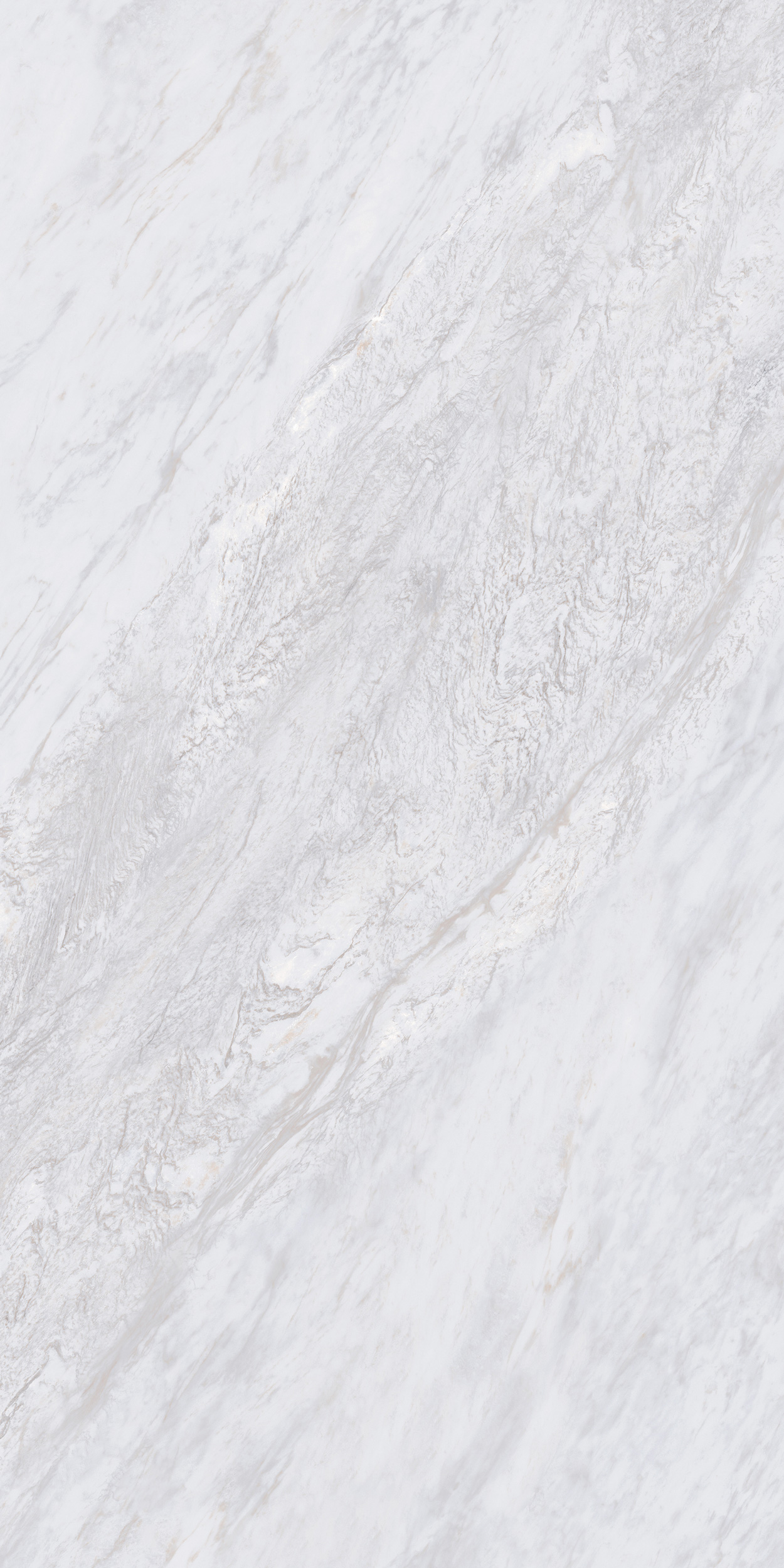 FTZB189207-庫里南