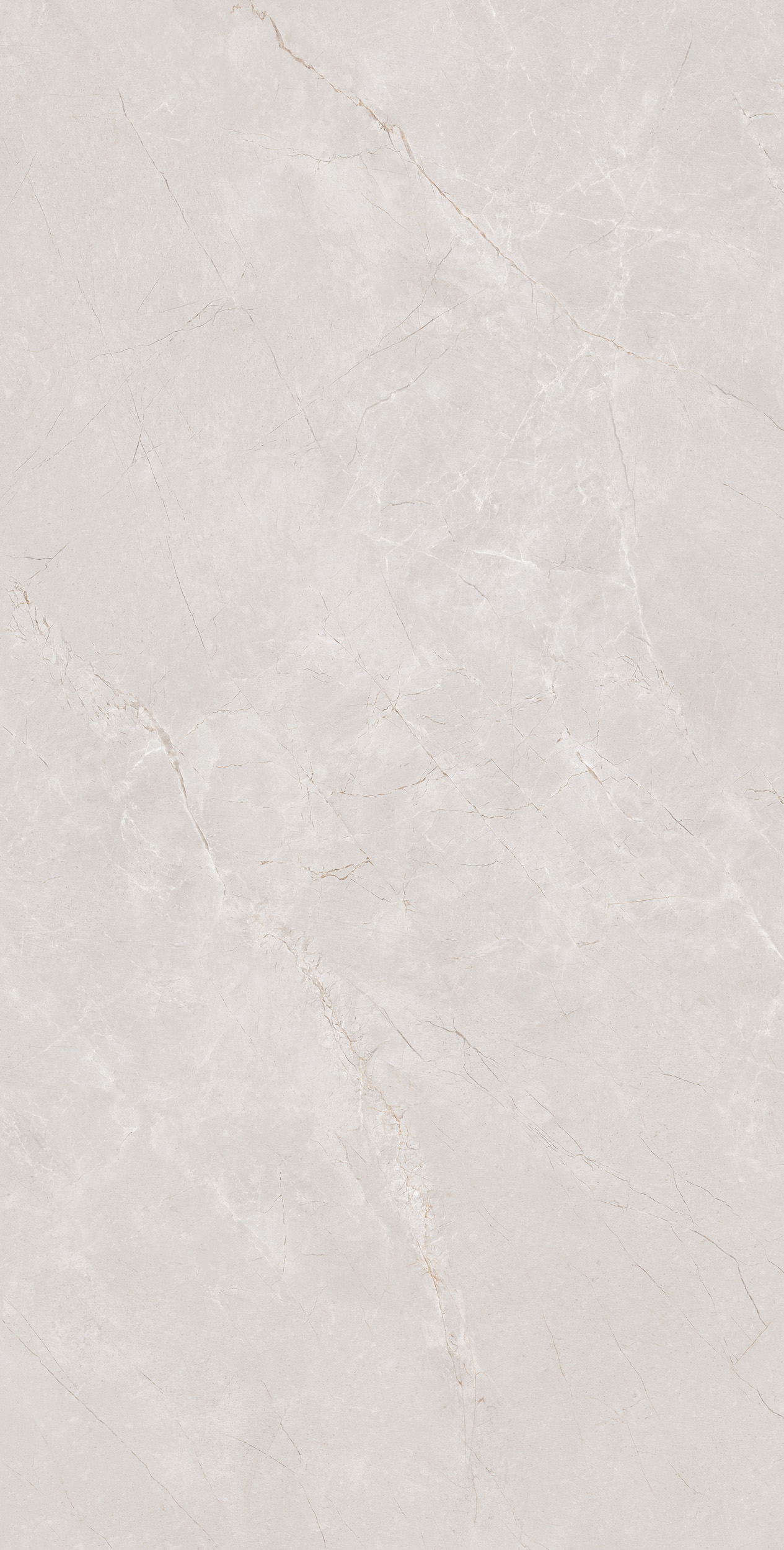 FTZB157202 卡達斯灰